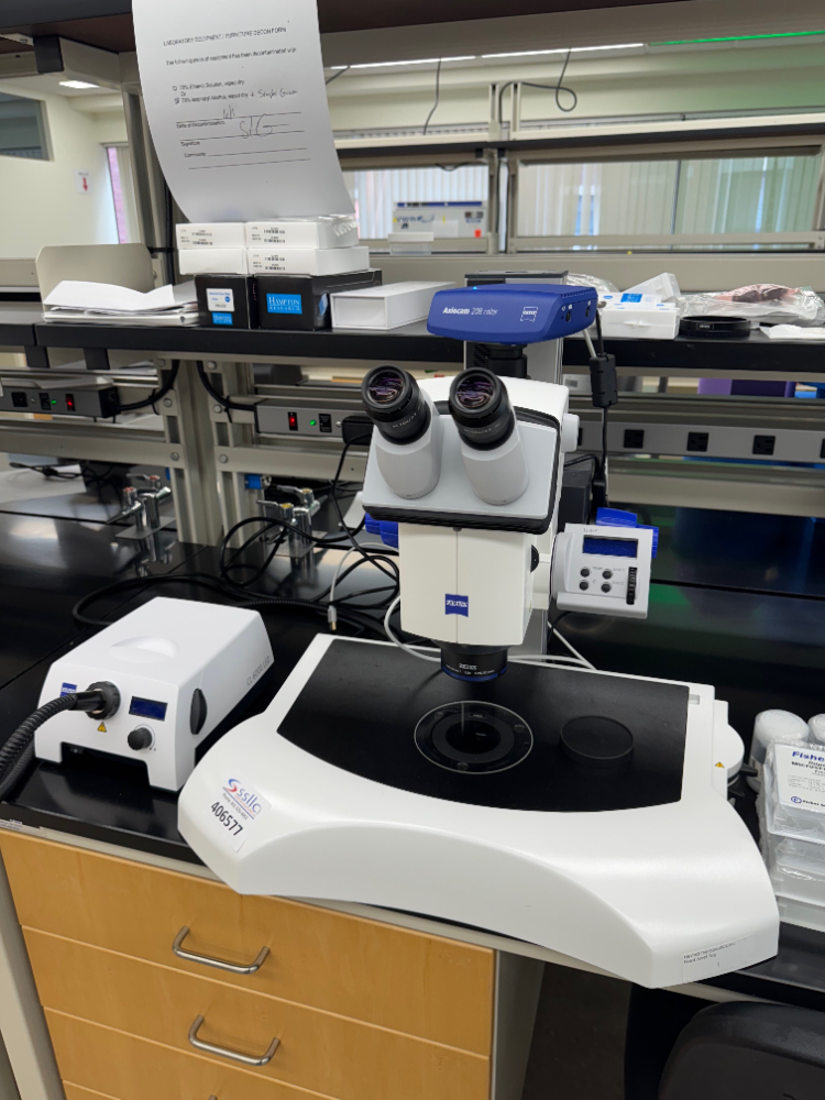 Image of Zeiss Discovery.V12 STeREO Microscope